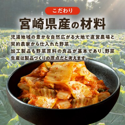 白菜キムチ 計1袋 (1kg) 漬物 おかず 野菜 加工品 国産_T025-040