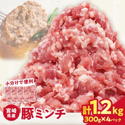 宮崎県産豚ミンチ肉 計1.2kg(300g×4パック) _T025-041