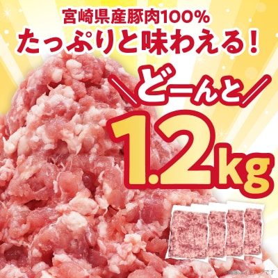 宮崎県産豚ミンチ肉 計1.2kg(300g×4パック) _T025-041