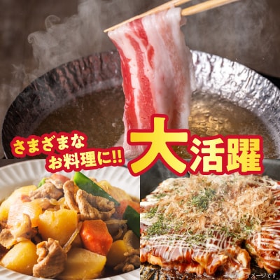 【2週間以内発送】宮崎県産豚バラしゃぶしゃぶ(計1.5kg)肉 豚 豚肉 おかず_T025-043