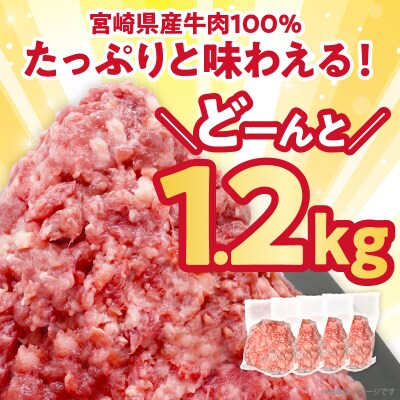 【2週間以内発送】≪訳あり≫宮崎県産牛ミンチ肉 計1.2kg(300g×4パック)_T025-042