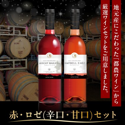 ＼年内発送!!/都農ワイン赤・ロゼ(辛口・甘口)2本セット 酒 飲料_T014-035-N