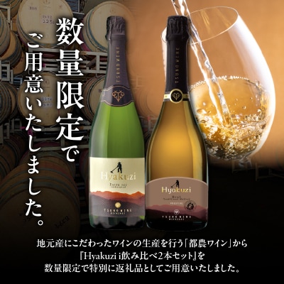 【期間・数量限定】Hyakuzi飲み比べ2本セット 酒 飲料 国産_T014-036