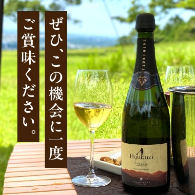 【期間・数量限定】Hyakuzi飲み比べ2本セット 酒 飲料 国産_T014-036