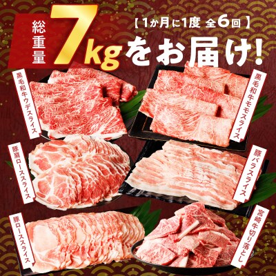 ≪6か月お楽しみ定期便≫宮崎県産牛&豚の満腹セット(総重量7kg) 肉 牛 牛肉_T030-1863