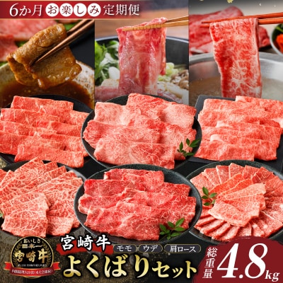 6か月お楽しみ定期便『宮崎牛よくばりセット』総重量4.8kg 肉 牛 牛肉_T030-1843