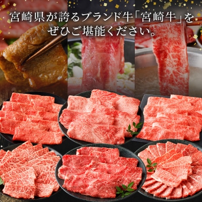 6か月お楽しみ定期便『宮崎牛よくばりセット』総重量4.8kg 肉 牛 牛肉_T030-1843