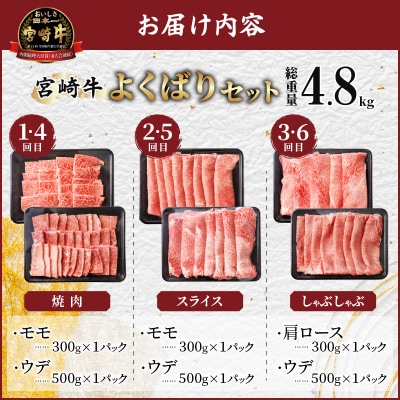 6か月お楽しみ定期便『宮崎牛よくばりセット』総重量4.8kg 肉 牛 牛肉_T030-1843