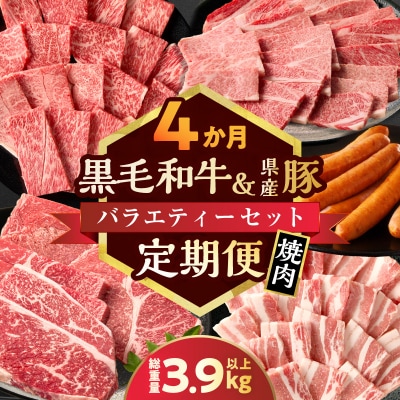 ≪4か月定期便≫黒毛和牛&県産豚バラエティーセット(焼肉)総重量3.9kg以上_T030-1793