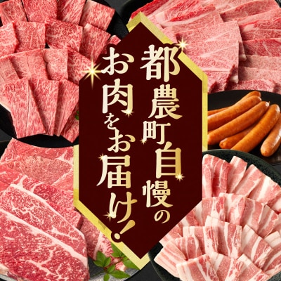 ≪4か月定期便≫黒毛和牛&県産豚バラエティーセット(焼肉)総重量3.9kg以上_T030-1793