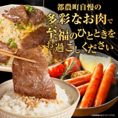 ≪4か月定期便≫黒毛和牛&県産豚バラエティーセット(焼肉)総重量3.9kg以上_T030-1793