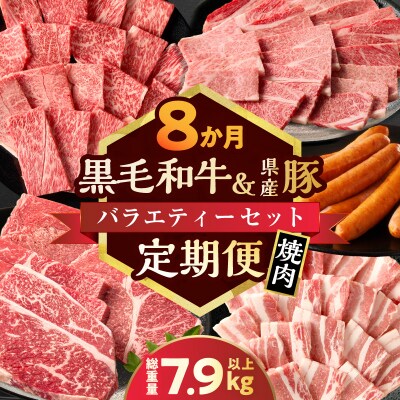 ≪8か月定期便≫黒毛和牛&県産豚バラエティーセット(焼肉)総重量7.9kg以上_T030-1803