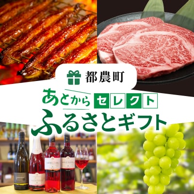 ≪期限1年間≫あとからセレクト 10,000円コース【ふるさとギフト】_T998-001