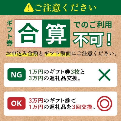 ≪期限1年間≫あとからセレクト 10,000円コース【ふるさとギフト】_T998-001