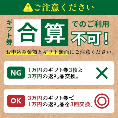 ≪期限1年間≫あとからセレクト 45,000円コース【ふるさとギフト】_T998-008