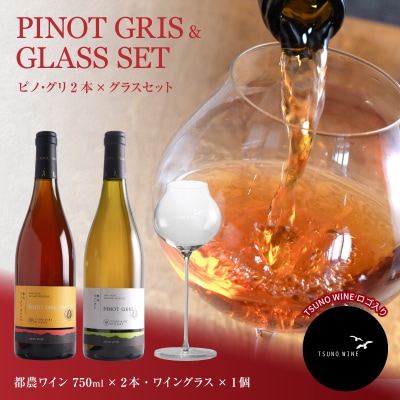 先行予約≪数量限定≫都農ワイン ピノグリ2本&グラスセット 酒 アルコール 国産_T014-021