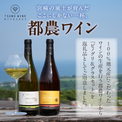 先行予約≪数量限定≫都農ワイン ピノグリ2本&グラスセット 酒 アルコール 国産_T014-021