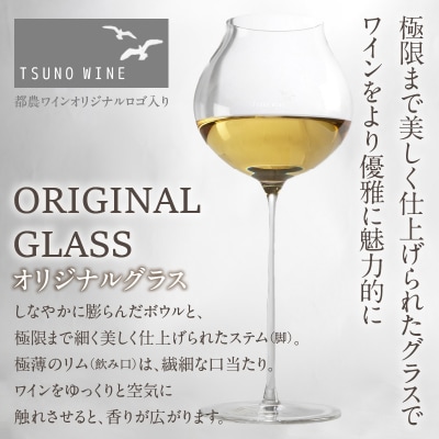 先行予約≪数量限定≫都農ワイン ピノグリ2本&グラスセット 酒 アルコール 国産_T014-021