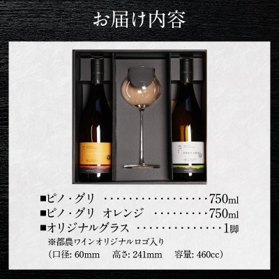 先行予約≪数量限定≫都農ワイン ピノグリ2本&グラスセット 酒 アルコール 国産_T014-021