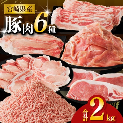【2週間以内発送】≪宮崎県産≫豚肉6種＼てげスゲーセット/合計2kg_T009-030-2W