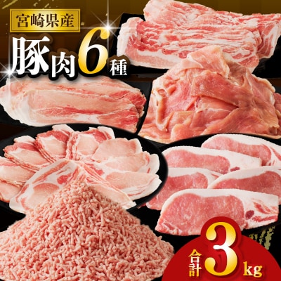 【2週間以内発送】≪宮崎県産≫豚肉6種＼てげスゲーセット/合計3kg_T009-031-2W