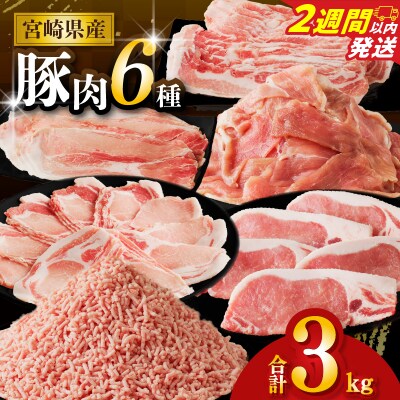 【2週間以内発送】≪宮崎県産≫豚肉6種＼てげスゲーセット/合計3kg_T009-031-2W