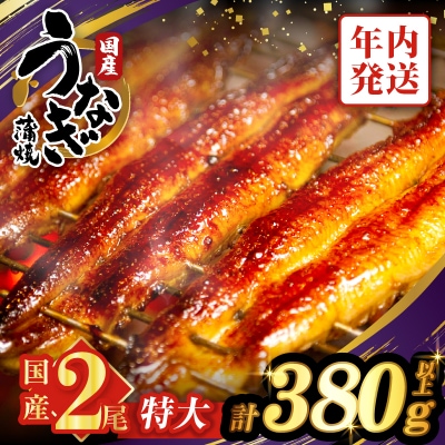 【年内発送】うなぎ蒲焼特大2尾(さんしょう・たれ付き)計380g以上 _T026-0061-12