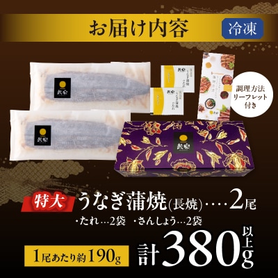 うなぎ蒲焼特大2尾(さんしょう・たれ付き)計380g以上 鰻 魚 加工品 国産_T026-0061