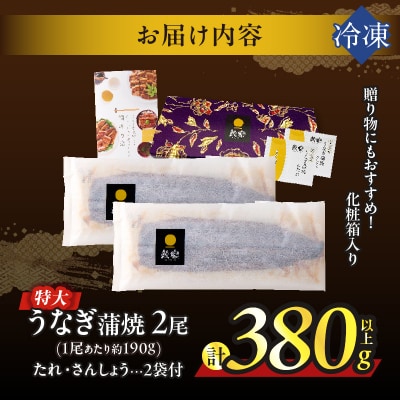 うなぎ蒲焼特大2尾(さんしょう・たれ付き)計380g以上 鰻 魚 魚介 国産_T026-0061