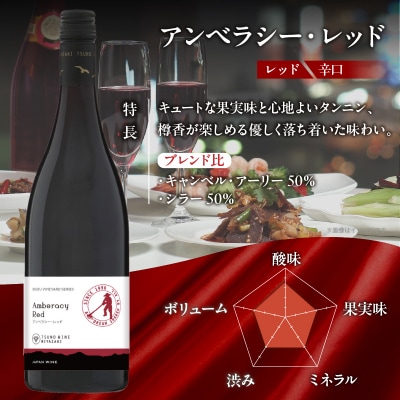 【数量限定】アンベラシー レッド(計1本) ワイン 酒 アルコール 国産_T014-046