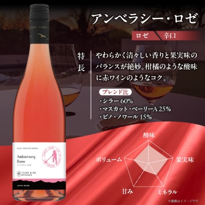 【数量限定】アンベラシー ロゼ(計1本) ワイン 酒 アルコール 国産_T014-047