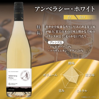 【数量限定】アンベラシー ホワイト(計1本) ワイン 酒 アルコール 国産_T014-048