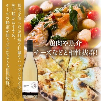【数量限定】アンベラシー ホワイト(計1本) ワイン 酒 アルコール 国産_T014-048