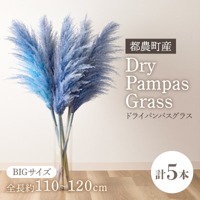 【2週間以内発送】ドライパンパスグラス(ブルー)計5本 すすき インテリア 国産_T057-002