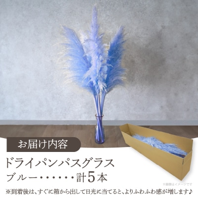 【2週間以内発送】ドライパンパスグラス(ブルー)計5本 すすき インテリア 国産_T057-002