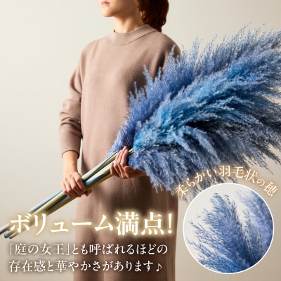 【2週間以内発送】ドライパンパスグラス(ブルー)計5本 すすき インテリア 国産_T057-002