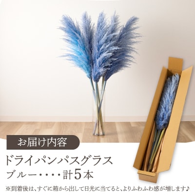 【2週間以内発送】ドライパンパスグラス(ブルー)計5本 すすき インテリア 国産_T057-002