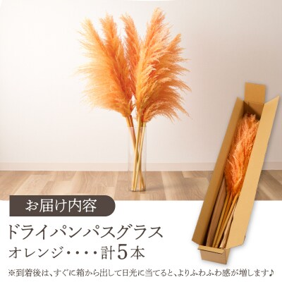 【2週間以内発送】ドライパンパスグラス(オレンジ)計5本 すすき インテリア 国産_T057-003