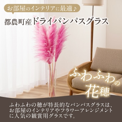 【2週間以内発送】ドライパンパスグラス(ピンク)計5本 すすき インテリア 国産_T057-004