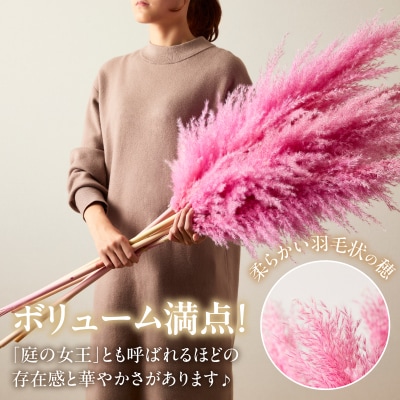 【2週間以内発送】ドライパンパスグラス(ピンク)計5本 すすき インテリア 国産_T057-004