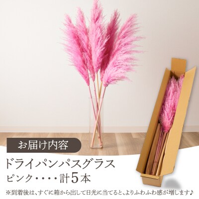 【2週間以内発送】ドライパンパスグラス(ピンク)計5本 すすき インテリア 国産_T057-004