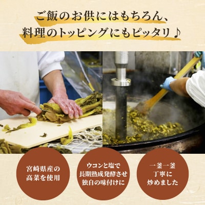 ＼ポスト投函/高菜油炒め(計3袋) つけもの おかず 野菜 加工品 国産_T037-015