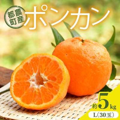 ≪期間限定≫都農町産「ポンカン(Lサイズ)」約5kg フルーツ 柑橘 国産_T008-015