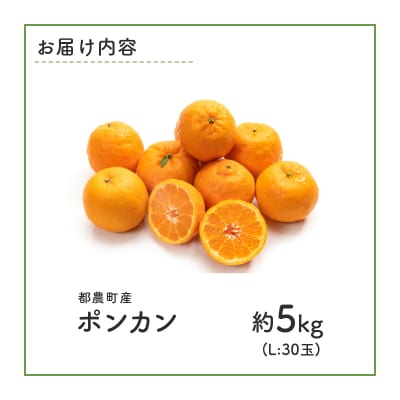 ≪期間限定≫都農町産「ポンカン(Lサイズ)」約5kg フルーツ 柑橘 国産_T008-015