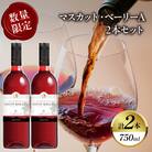 【数量限定】マスカット・ベーリーA 2本セット ワイン 酒 飲料 アルコール 国産_T014-054