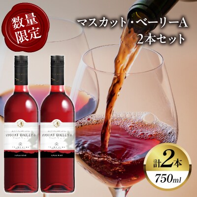 【数量限定】マスカット・ベーリーA 2本セット ワイン 酒 飲料 アルコール 国産_T014-054