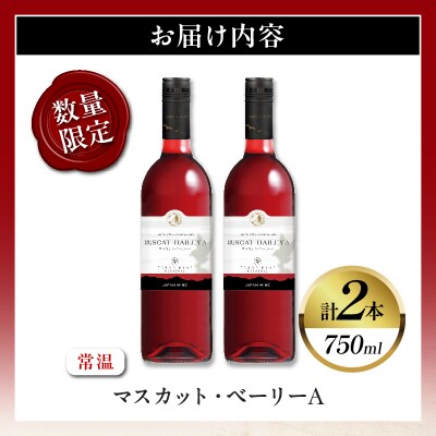 【数量限定】マスカット・ベーリーA 2本セット ワイン 酒 飲料 アルコール 国産_T014-054