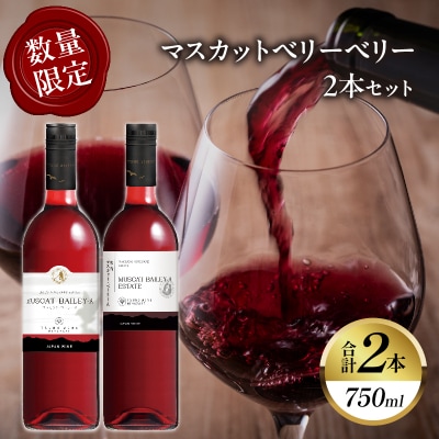 【数量限定】マスカットベリーベリー2本セット ワイン 酒 飲料 アルコール 国産_T014-057