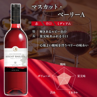 【数量限定】マスカットベリーベリー2本セット ワイン 酒 飲料 アルコール 国産_T014-057
