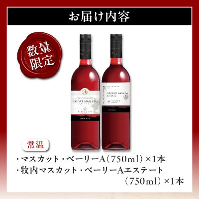 【数量限定】マスカットベリーベリー2本セット ワイン 酒 飲料 アルコール 国産_T014-057